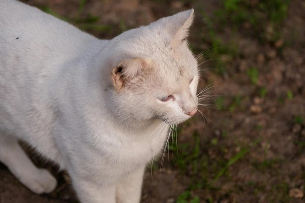 Verborgene Entspannungstechniken für stillende Mütter: Finden Sie Ihren Weg zu innerem Frieden und Gelassenheit
